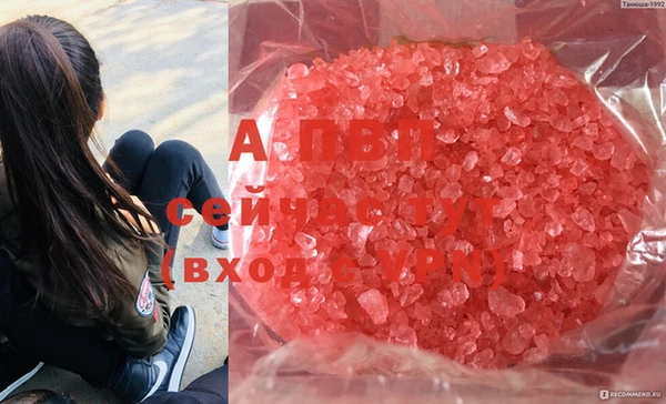 спиды Горнозаводск