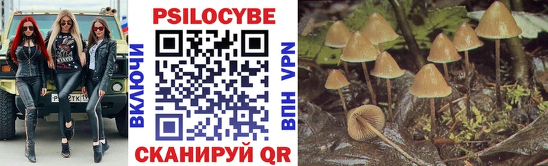МЕГА рабочий сайт  наркота  Зверево  Псилоцибиновые грибы Psilocybe 